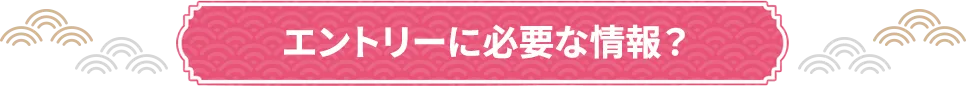 エントリーに必要な情報