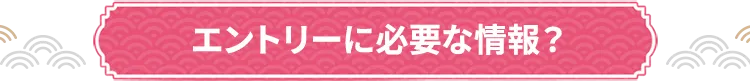 エントリーに必要な情報