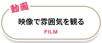 映像や雰囲気を観る