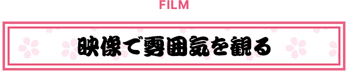 映像で雰囲気を撮る