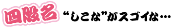 四股名しこながスゴイな