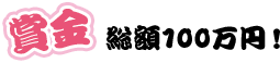 賞金総額１００万円